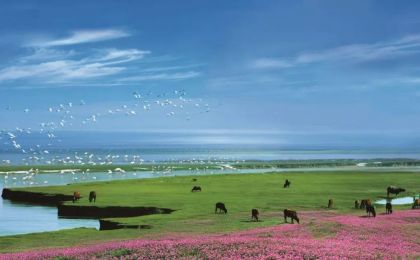 首批中國生態旅游十大示范景區之鄱陽湖國家濕地公園