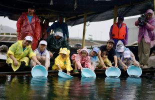 深圳第十二屆增殖放流公益活動舉辦，55萬尾魚蝦苗放歸海洋 